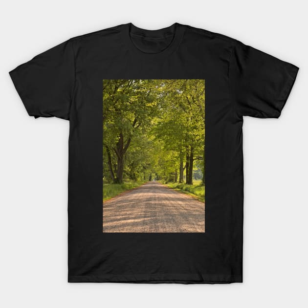 Wye Island Canopy Road T-Shirt by somadjinn